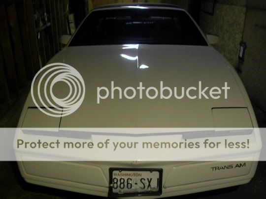 my 1982 Pontiac Trans am