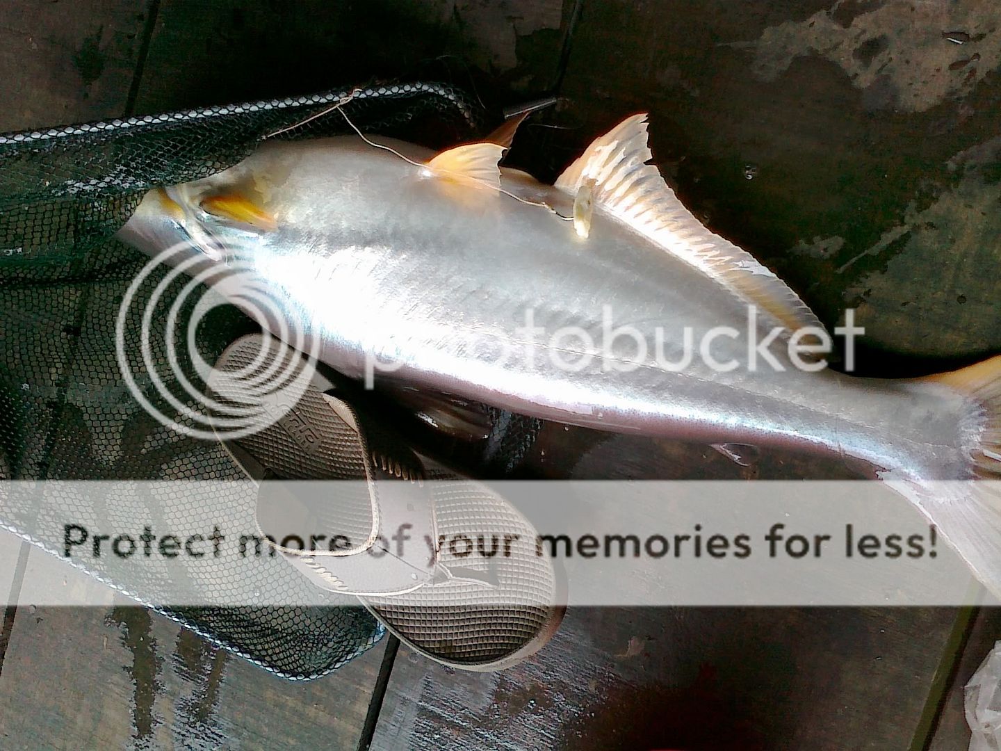 Gặp nhau cuối tuần  Club Tửu Lượng Vô Biên - 2