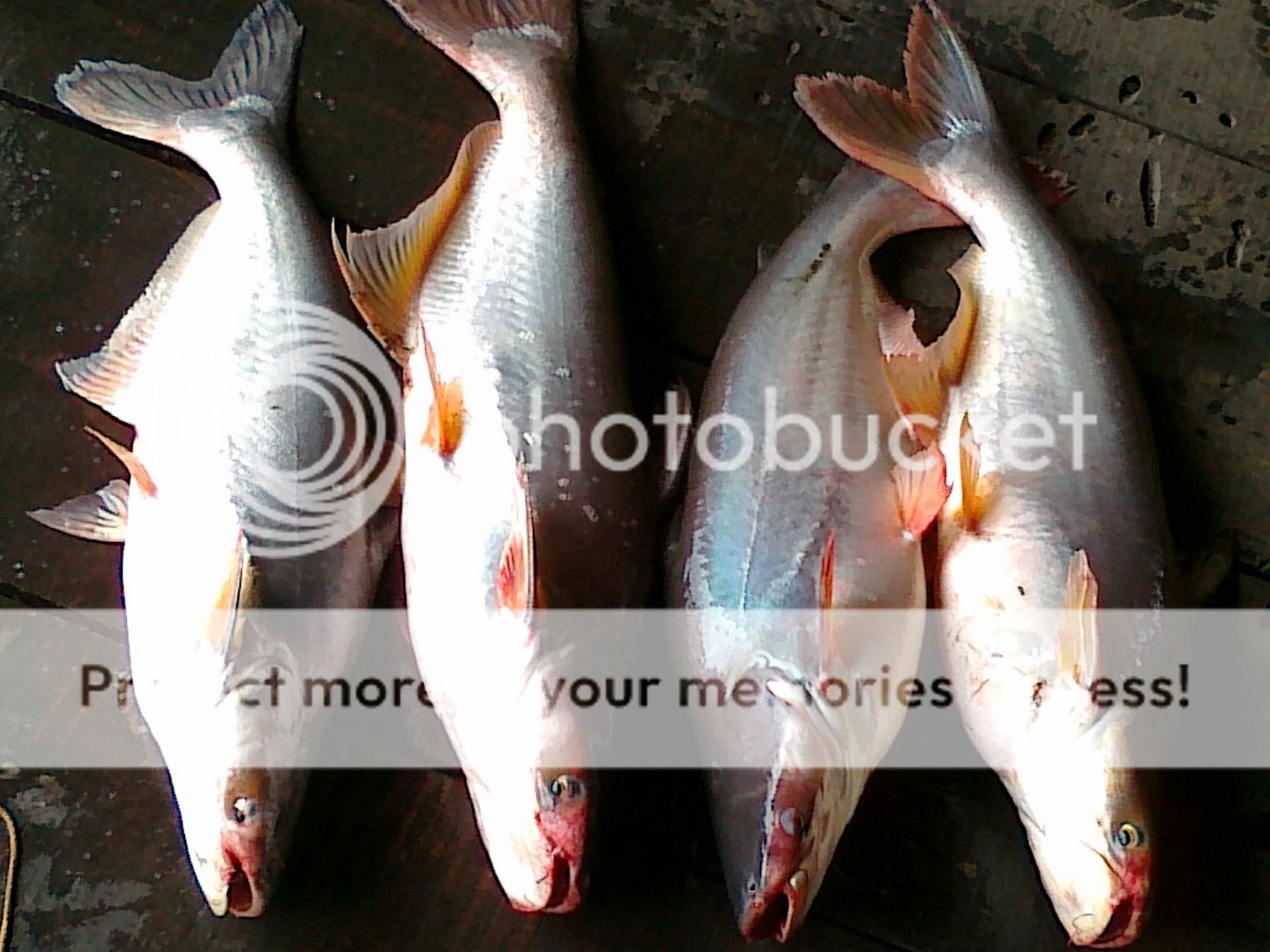 Gặp nhau cuối tuần  Club Tửu Lượng Vô Biên - 1