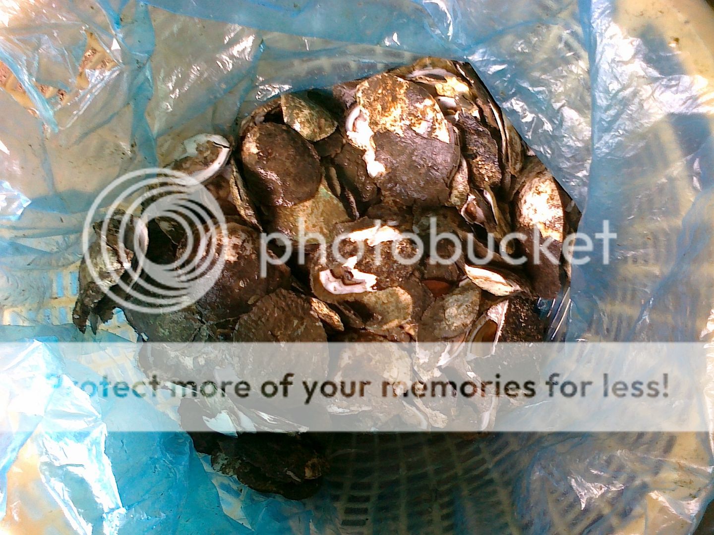 Gặp nhau cuối tuần  Club Tửu Lượng Vô Biên