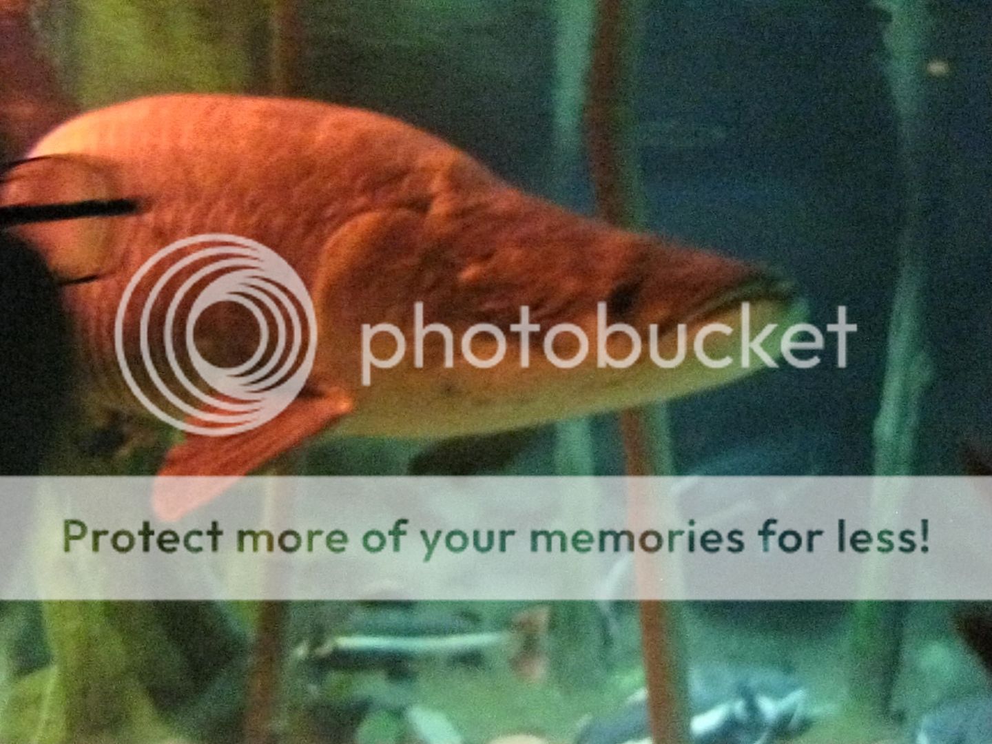 Gặp nhau cuối tuần  Club Tửu Lượng Vô Biên - 14