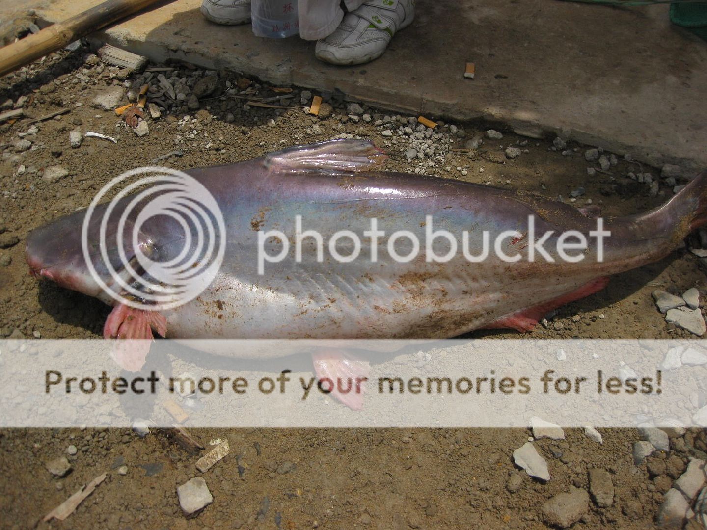 Gặp nhau cuối tuần  Club Tửu Lượng Vô Biên - 1