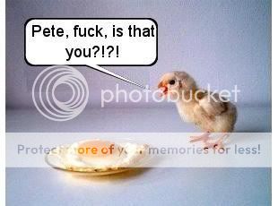 duck.jpg