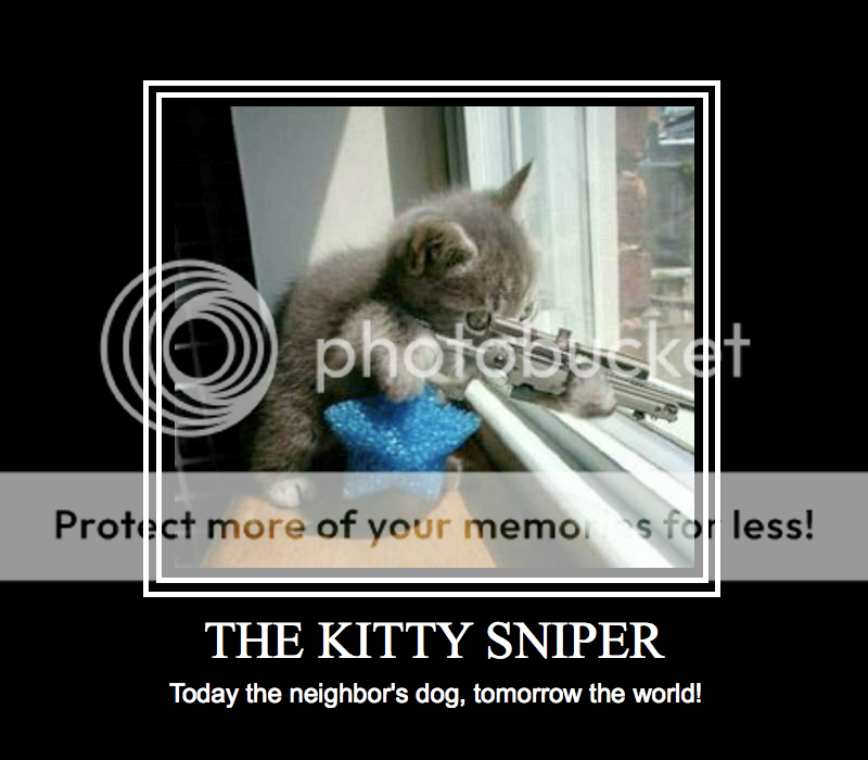 KittySniperMotivationalPoster.png